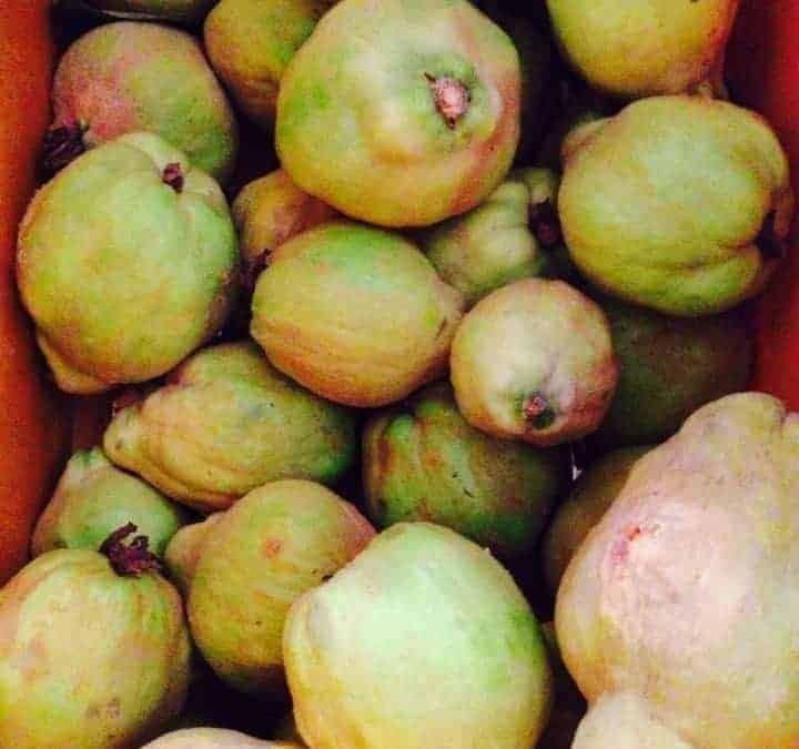 Local Quince