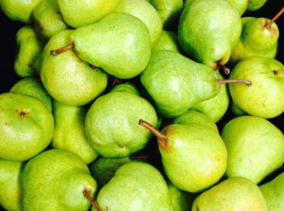 New Season Packham Pears