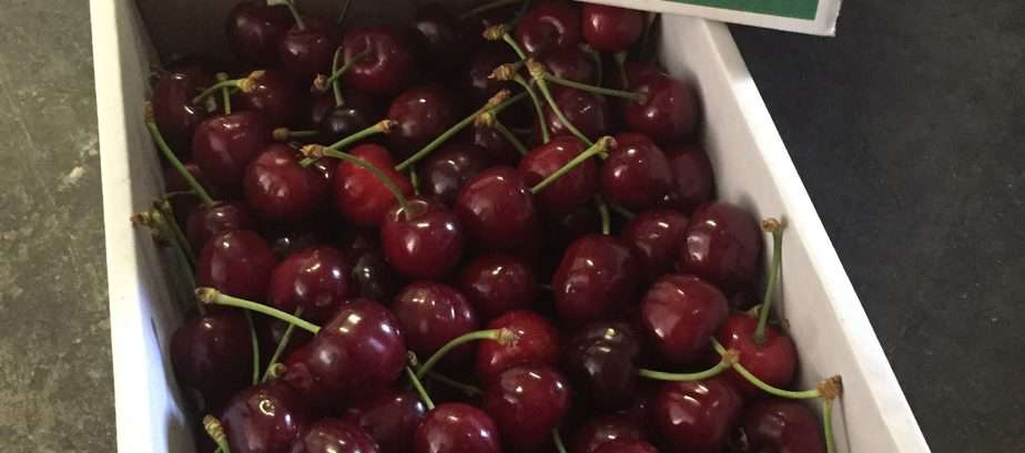 TGB manjimup cherries