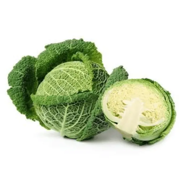 TGB cabbage
