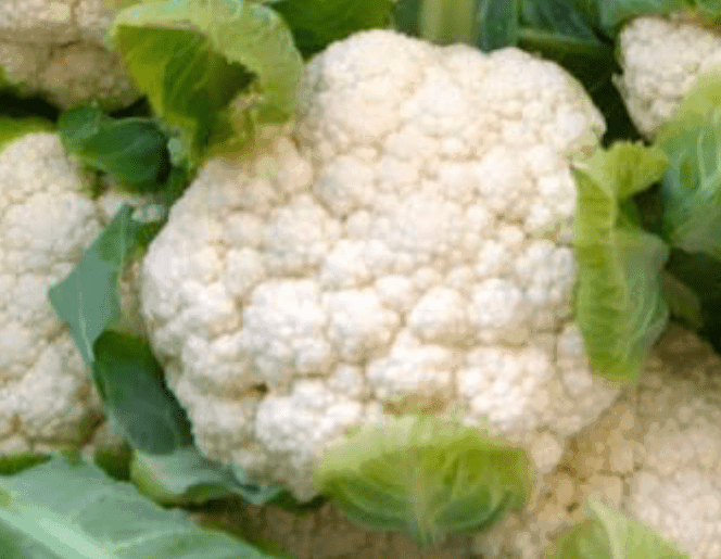 TGB cauliflower