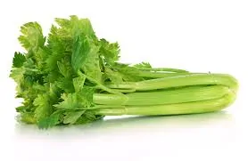 TGB celery