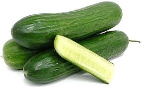 TGB cucumber lebanese