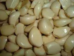 TGB garlic peeled