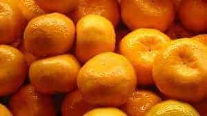 TGB mandarins