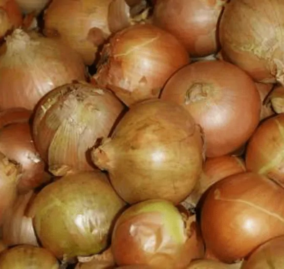 TGB onion brown